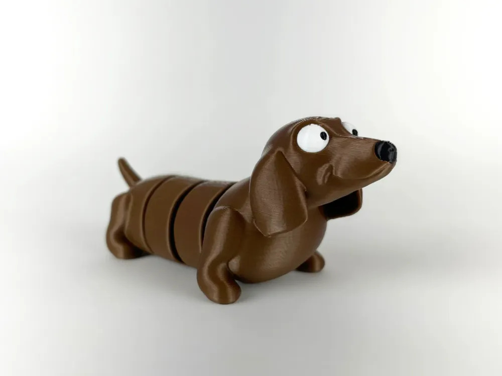 chú chó Dachshund đáng yêu